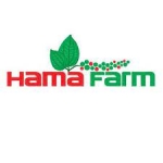 Plus HAMA Co., Ltd.