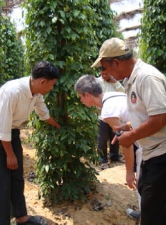 Mission of “Syndicat of GI Espelette Chili” in Cambodia to exchange experiences with KPPA
